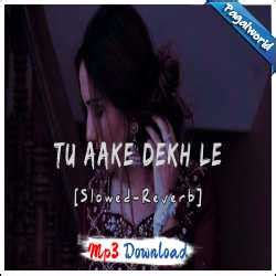 tu aake dekh le mp3 download|tu aake pyarle mp3.